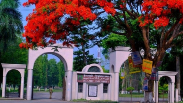 জুলাইবিপ্লব বিরোধী ফের ৯ শিক্ষককে সাময়িক বরখাস্তের চিঠি