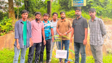 হৃদয় চন্দ্র তরুয়ার স্মরণে চবিতে কৃষ্ণচূড়ার চারা রোপণ করলেন চাকসু এজিএস