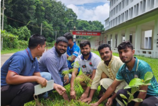 জুলাই শহীদদের স্মরণে চবিতে ছাত্রদল নেতা বাবরের বৃক্ষরোপণ
