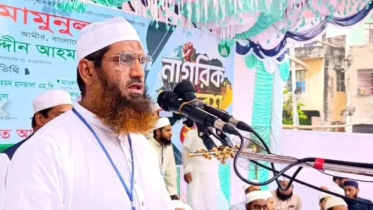 বাঙালিরে হাইকোর্ট দেখানোর চেষ্টা কইরেন না: মামুনুল হক