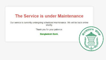 সাইবার হামলার শঙ্কা, বাংলাদেশ ব্যাংকের ওয়েবসাইট সাময়িকভাবে ডাউন